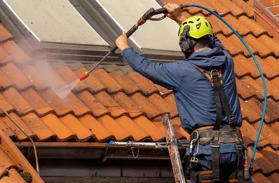 Démoussage et hydrofuge de toiture à Chaveyriat